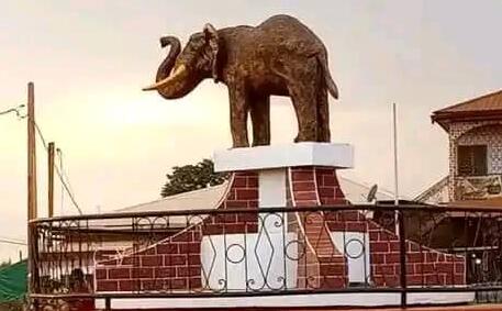 elephant